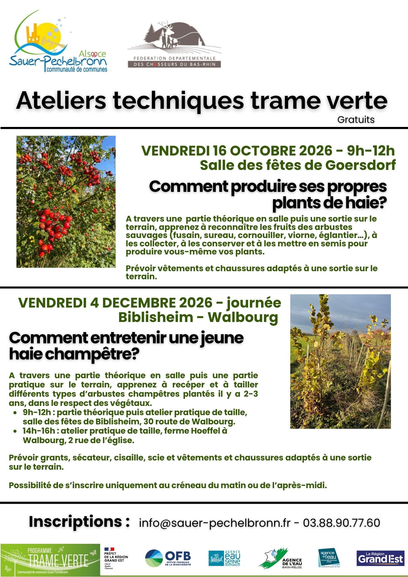 Atelier pratique trame verte